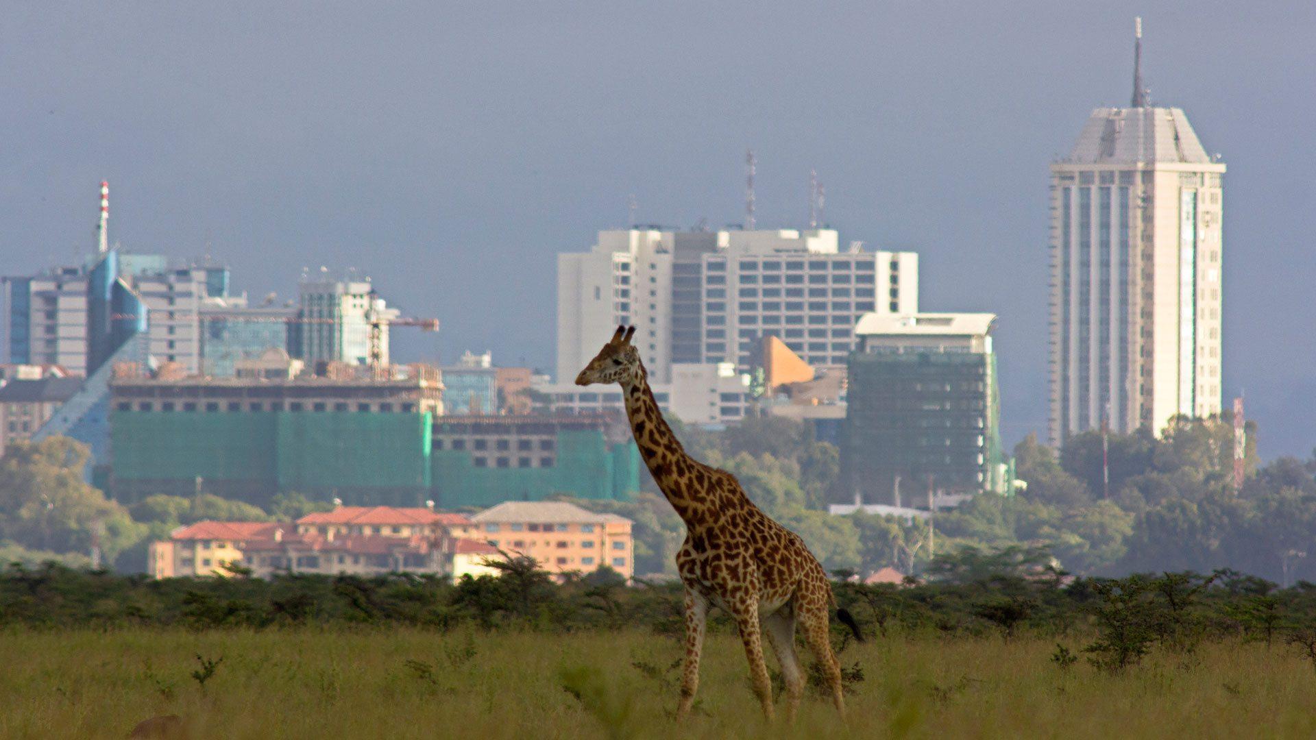 Kenya